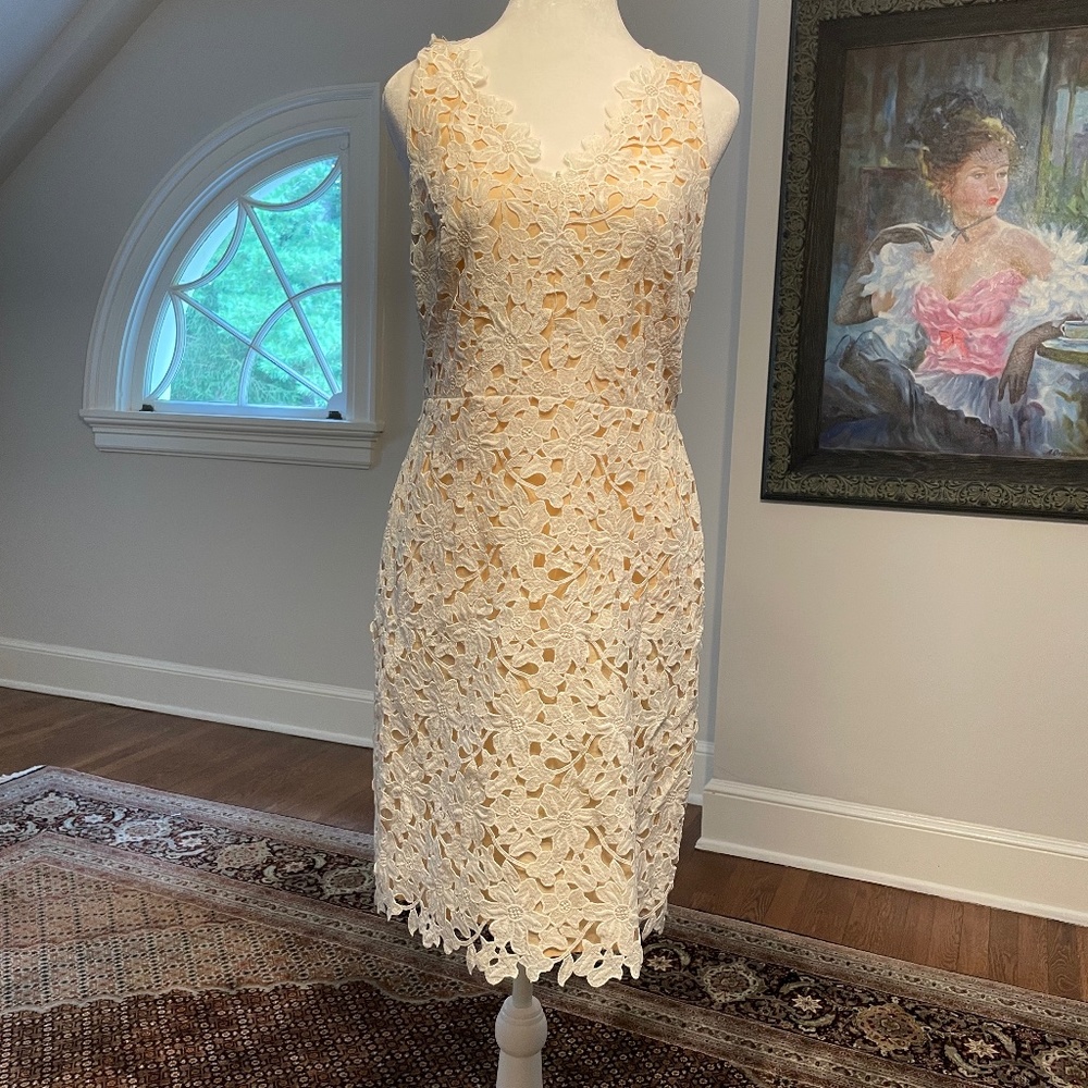 Lace Slim fitting dress- shift Pristine